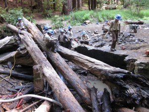 Salmon BBQ Helps local Salmon Recovery