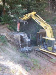 Salmon BBQ Helps local Salmon Recovery