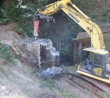 BBQ Funds Help local Salmon Recovery